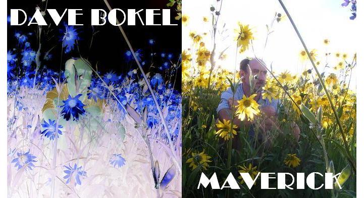 Dave Bokel