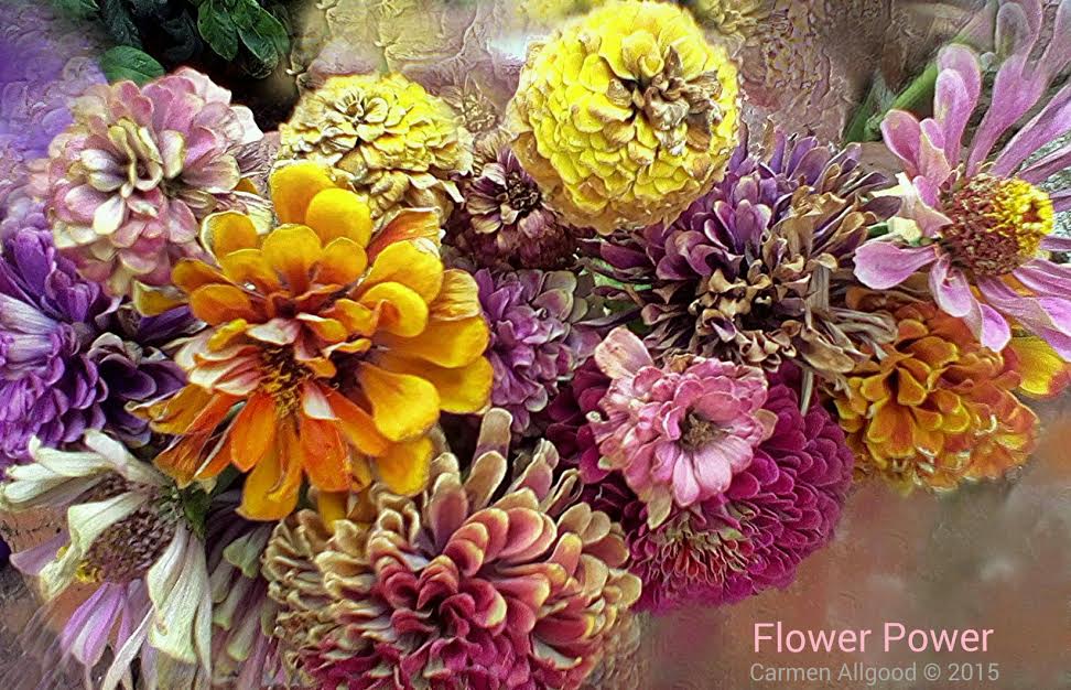 dried flowers